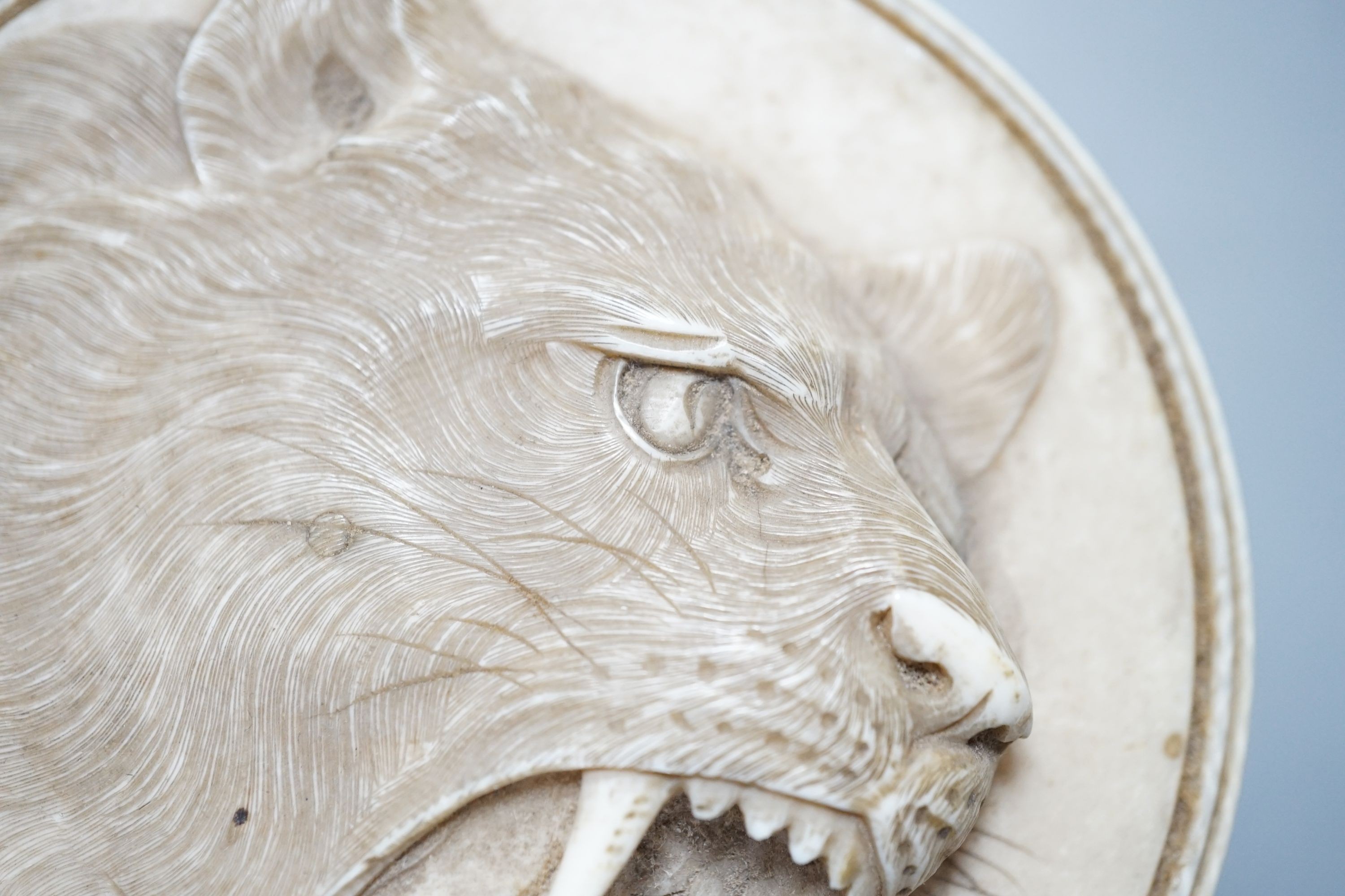A Japanese ivory box and cover, Meiji period, carved with tigers, 9.2cm